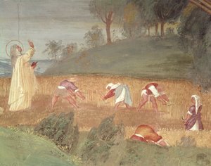 De wonderen van St. Clara van Assisi, detail van St. Clara die de oogst zegent, 1523-24